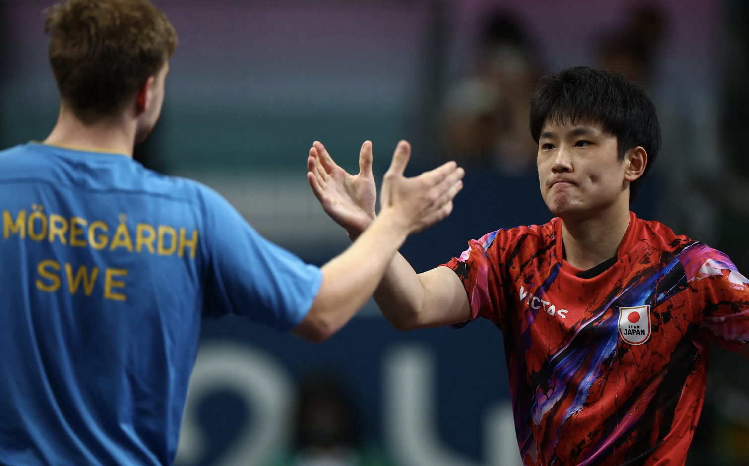 爱游戏官网-安徽省队男篮